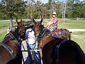 03-Charles, Jane & the Mules